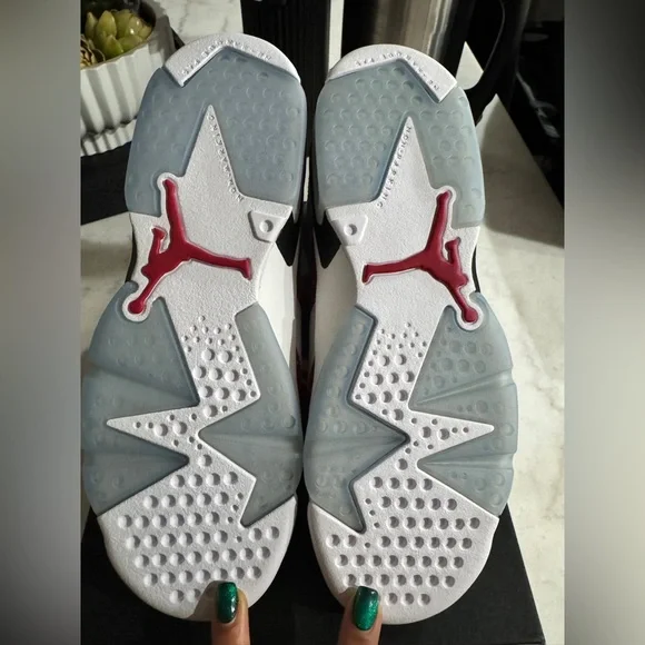 Air Jordan 6 Retro Carmines - Picture 9 of 10